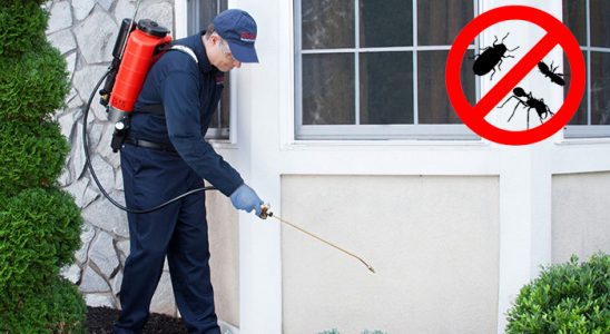 Kiğı Fare İlaçlama böcek ilaçlama ve haşere kontrolü — ilaclama-tr.com